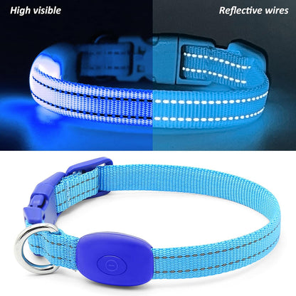 Light up Dog Collar for Small Dogs, Reflective LED Dog Collar Rechargeable Puppy Collar Glowing Cat Collars Safety Dog Lights for Night Walking (Royal Blue)