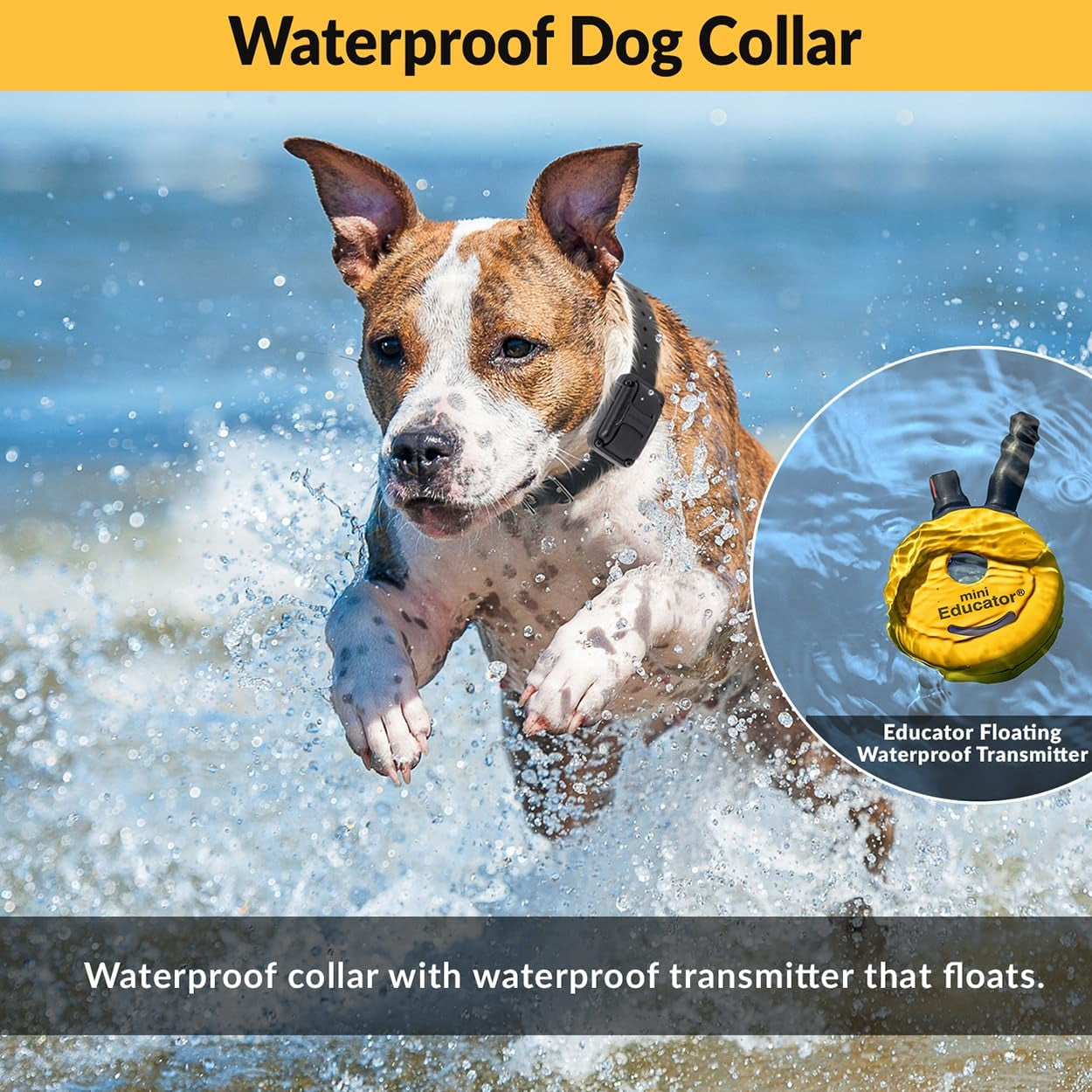 E-Collar ET-300 Mini  Remote Dog Training Collar, Yellow | 1/2 Mile Waterproof, 100 Stimulation Levels + Vibration + Light + Sound, Premium Finger Clicker Trainer